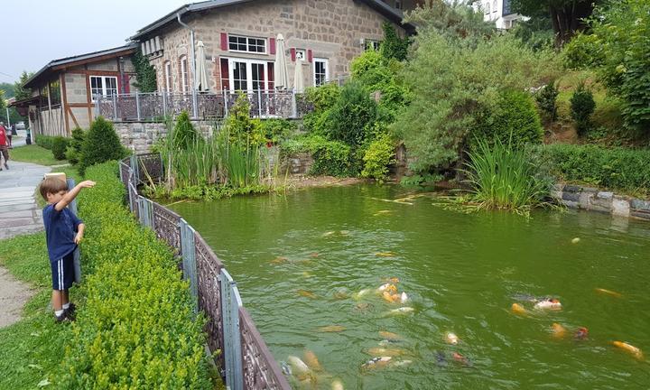 Restaurant Museo Fichtelberg